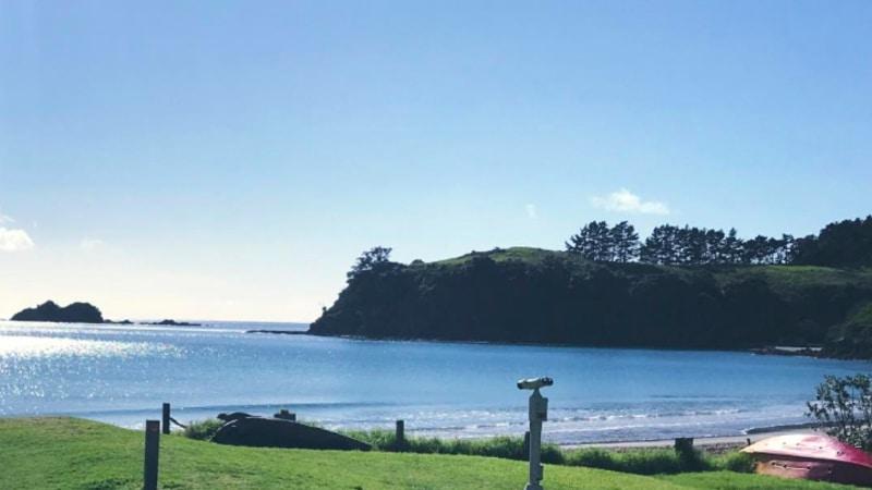 Enjoy fabulous wine and typical kiwi food as you discover "the jewel of Auckland", Waiheke Island with a local guide...